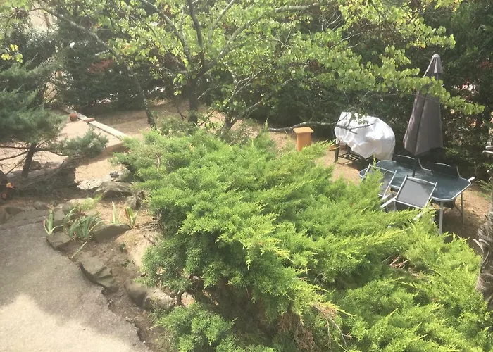 Calme De 48m2 艾美丽·莱斯·班恩斯·帕尔